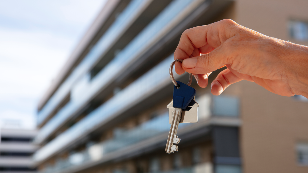 Novo Projeto - 2025-11-06T104535.714